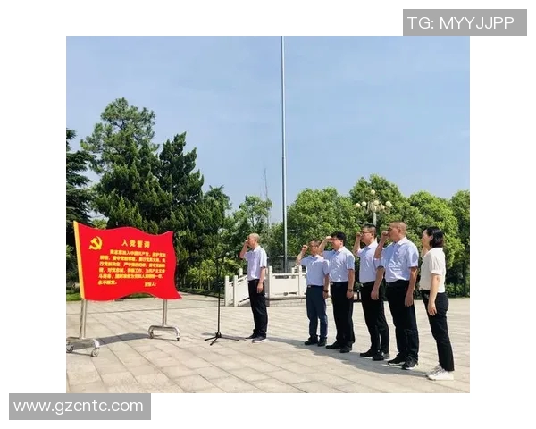 张帆：在时代浪潮中追寻梦想与坚持的力量