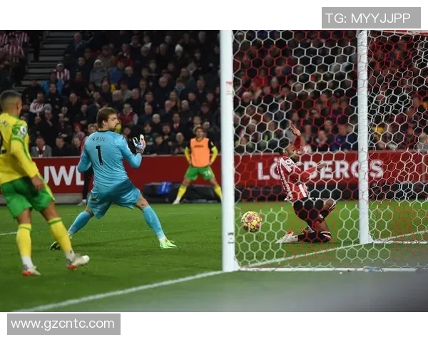 布伦特福德对诺维奇城精彩直播全程回顾与赛后分析