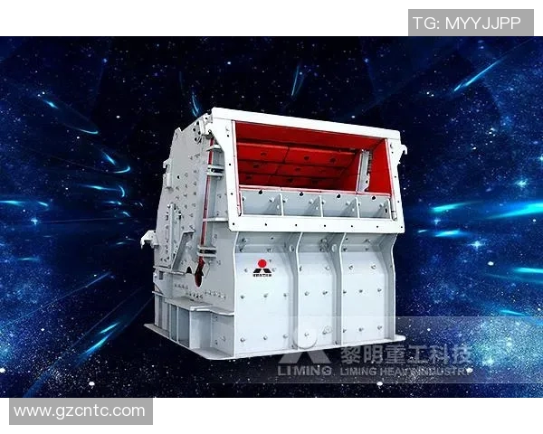 专业解析LNG市场的防御与反击策略探讨