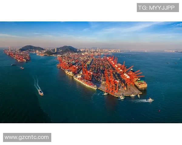 深圳排球队在钻石联赛中的崛起与突破之路全景回顾 深圳排球队在钻石联赛中的崛起与突破之路全景回顾